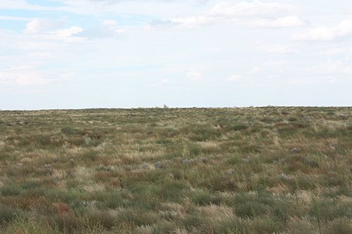 Property photo 66 - LAND AUCTION, 3255+/- Acres offered in 13 Tracts